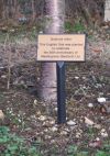Plant Label Stake / Grave Marker Plant Label Stake / Grave Marker